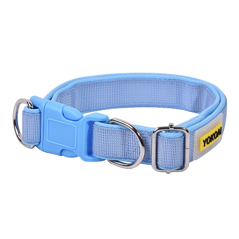 Collier de collier de chien collier