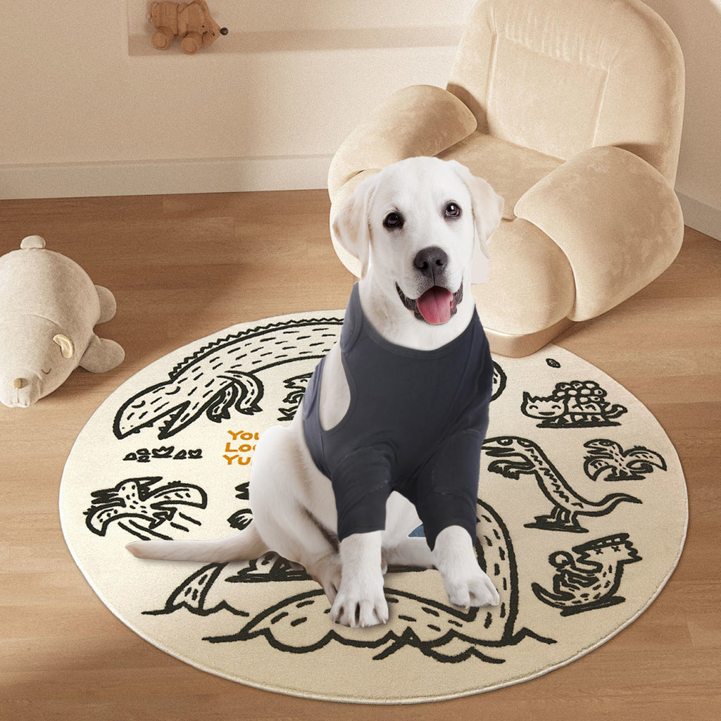 Équipement de protection pour chien Jambe avant Couverture de protection double équipement de protection