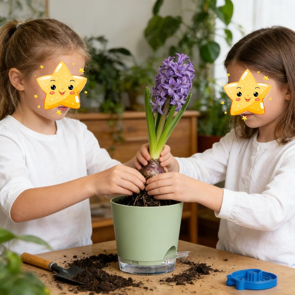 6 Pots de fleurs vertes avec fond transparent