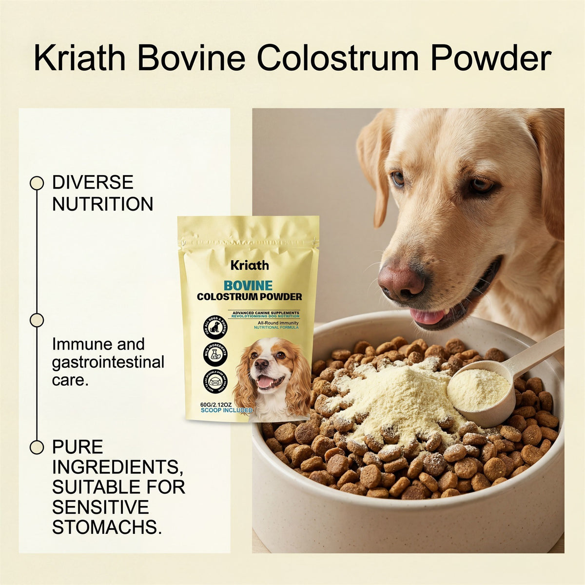 Bovin Colostrum Supplément nutritionnel pour chiens Soins quotidiens pour chiens Suppléments corporels Et