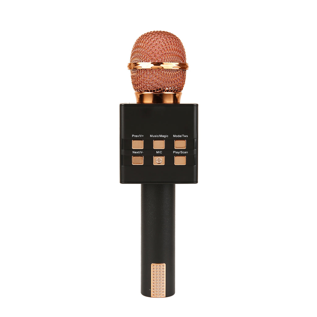 Système audio portatif tout-en-un sans fil Bluetooth Condenseur Microphone