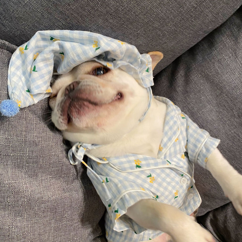 Vêtements, chiens Chats Favoris Teddy Schnauzer