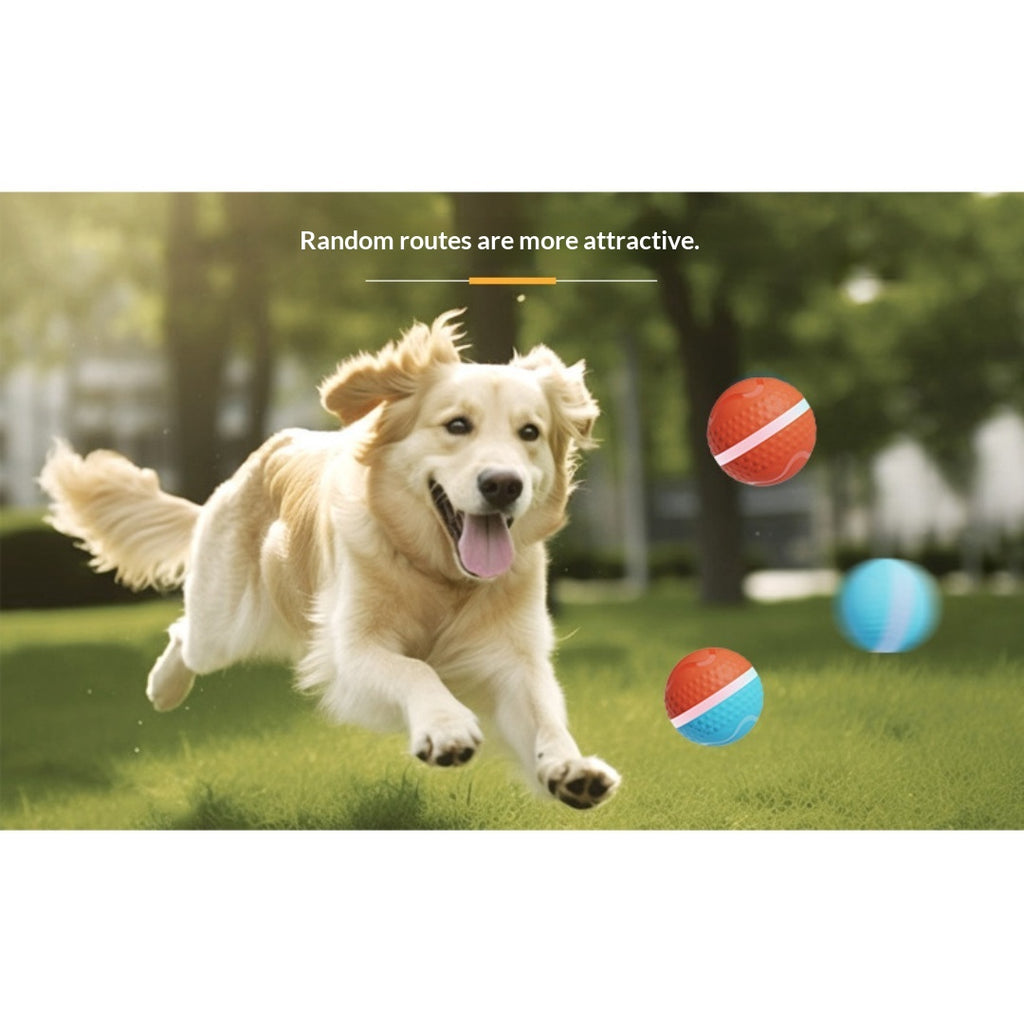 Jouet de chien de boule électrique lumineux et de chat