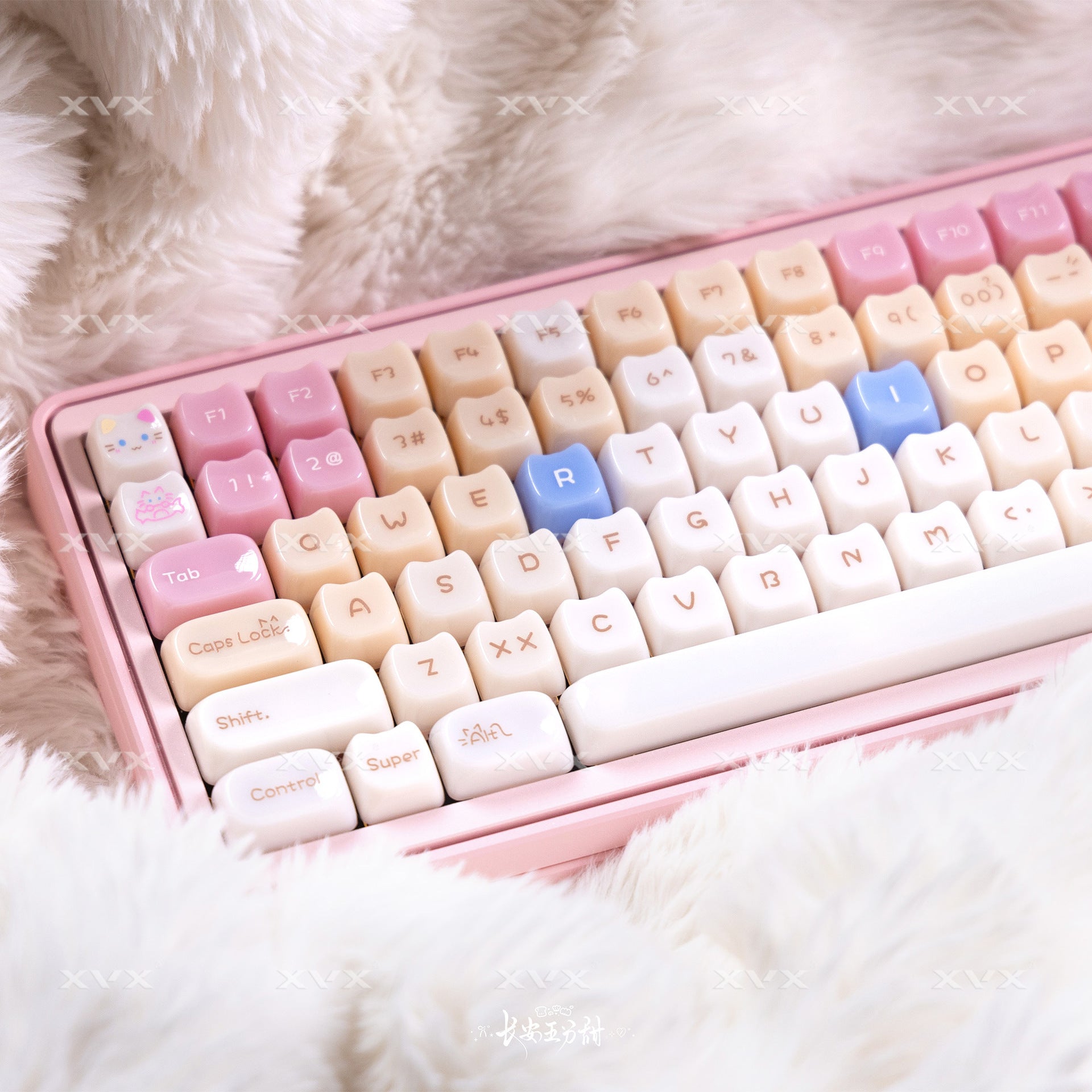Ragdoll Cat Mignon Clavier de couleur claire