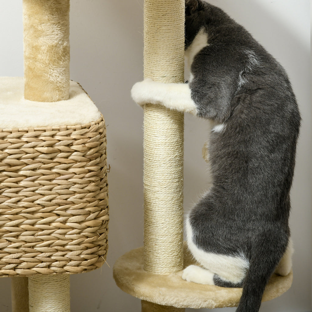 Arbre de chat pour les chats d'intérieur avec des postes de scratching