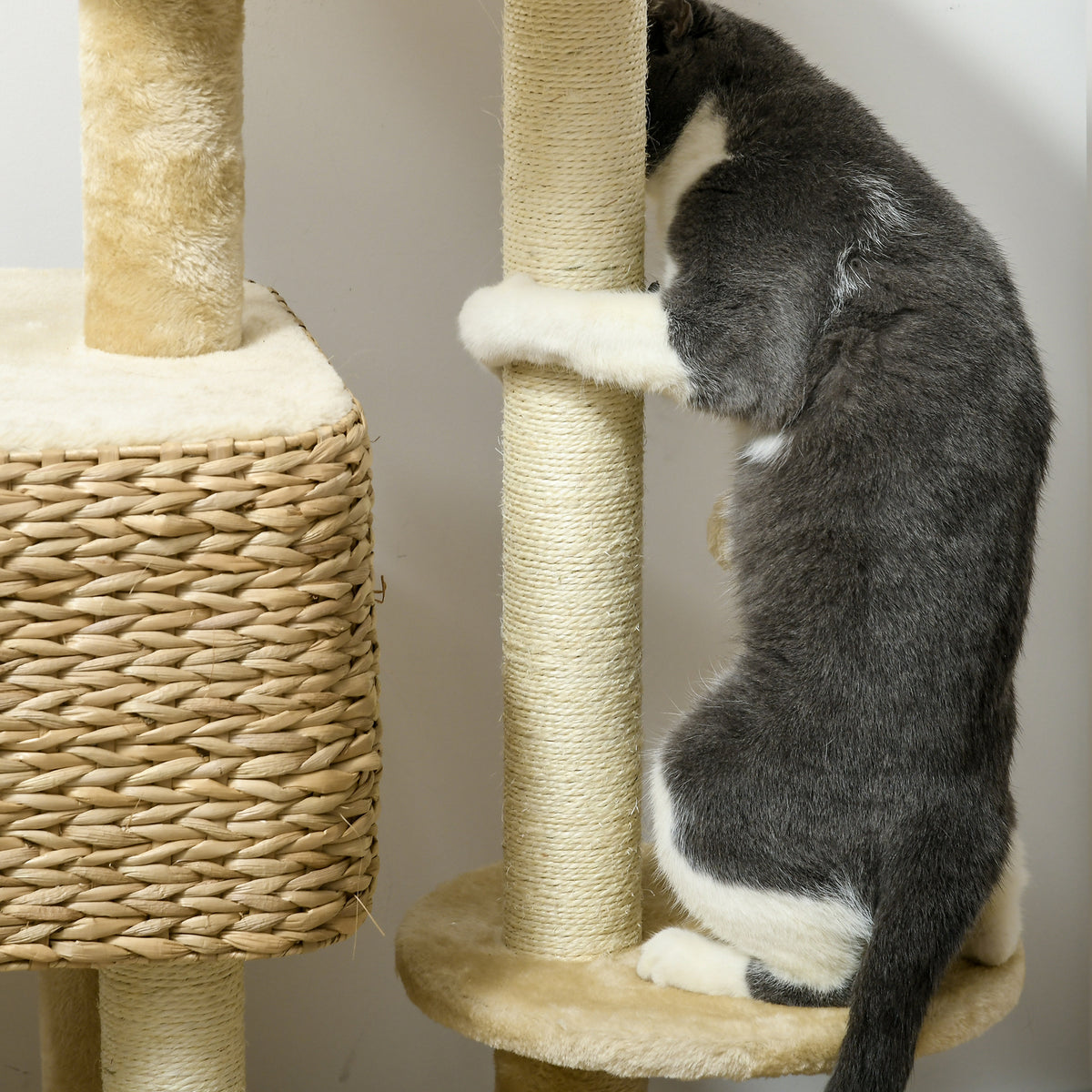 Arbre de chat pour les chats d'intérieur avec des postes de scratching
