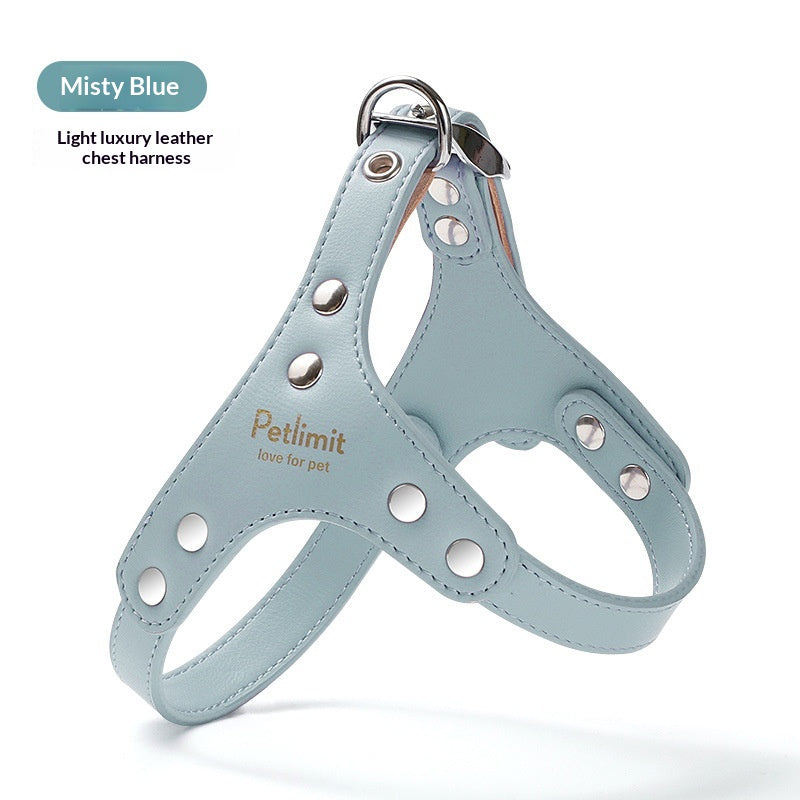 Harnais en cuir et laisse pour chiots pour petits chiens
