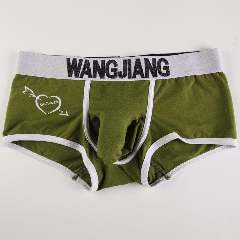 Sous-vêtements pour hommes Boxers Low Waist Coton U Convex Trunk Mode Sexy Boxers pour hommes