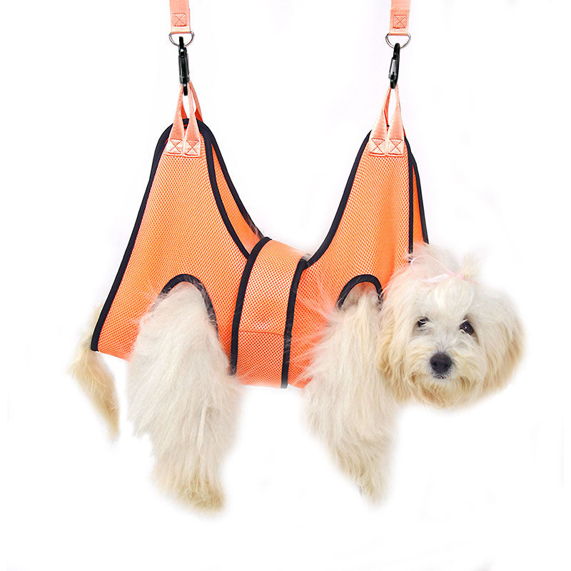 Outil pour chat et chiens