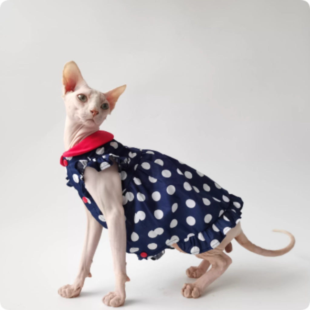 Robe de princesse sans cheveux Cat Devon été mince poupée