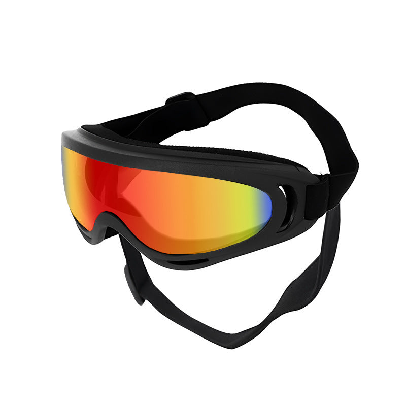 Verres de chien en plastique anti-vent