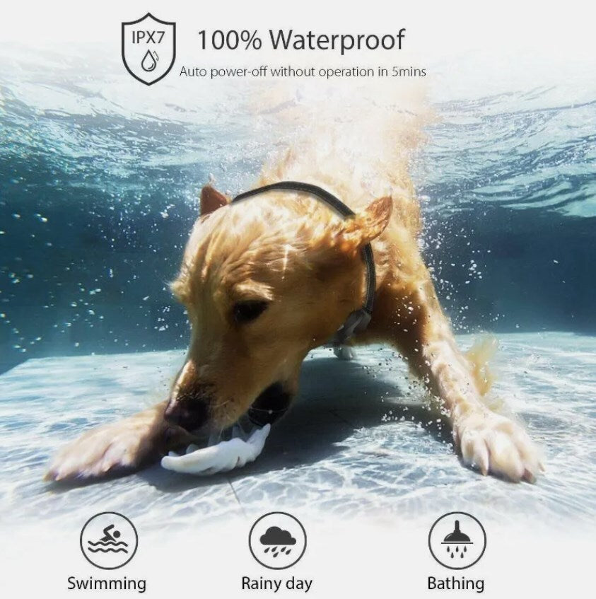 800M Electric Pet Dog Training E-Collar Anti-Bark Obedience Remote Control LCD