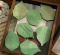 Feuille Post-it Notes-50 feuilles/1 copy-bugged