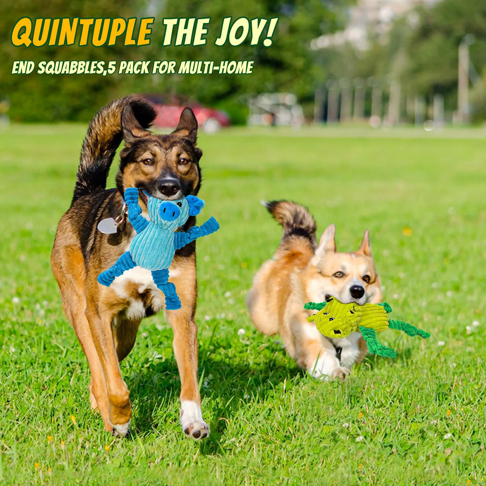 5 Paquets de jouets pour chiens
