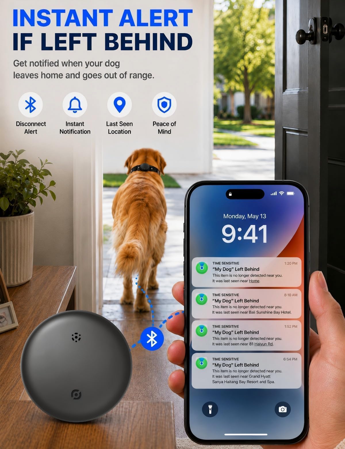 Tracker GPS pour chiens IOS & Android - Pas d'abonnement Collier GPS Tracker pour chiens Smart Cat Real