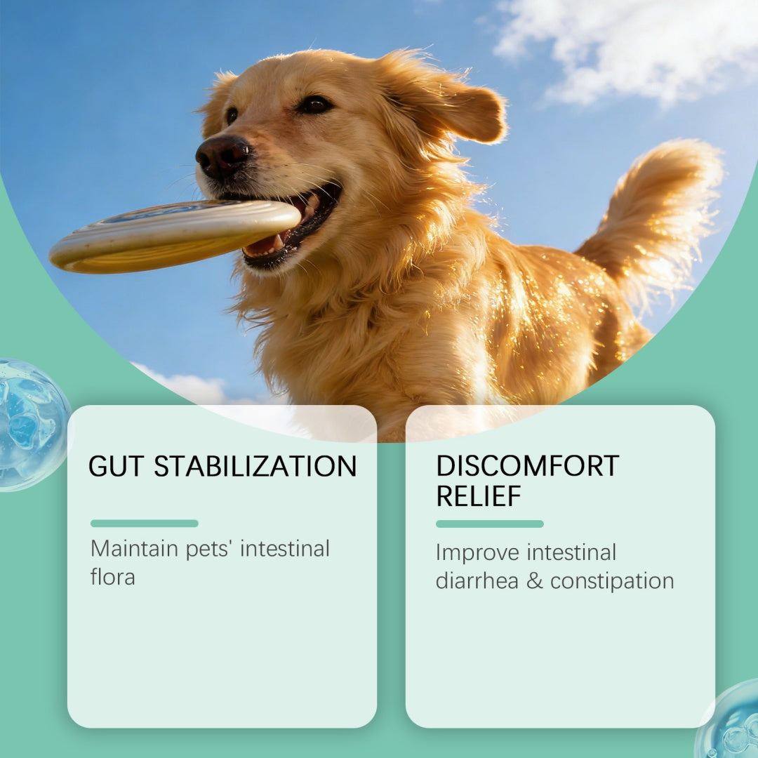 Poudre de fraicheur spécifique au chien