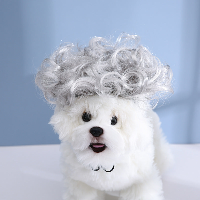 Coiffure de chien