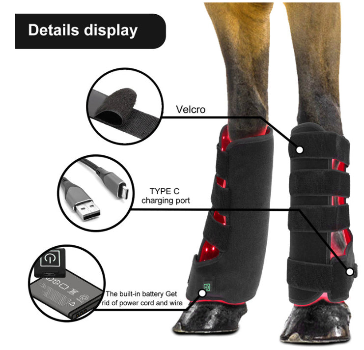 Red Light Infrared Pet Sports Wound Recovery Cheval Leg Photothérapie Portable