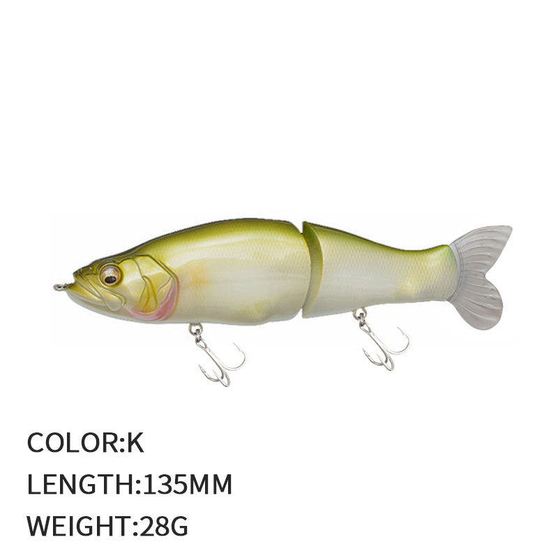 Poissons multi-sections à crayon lourd de lure artificielle