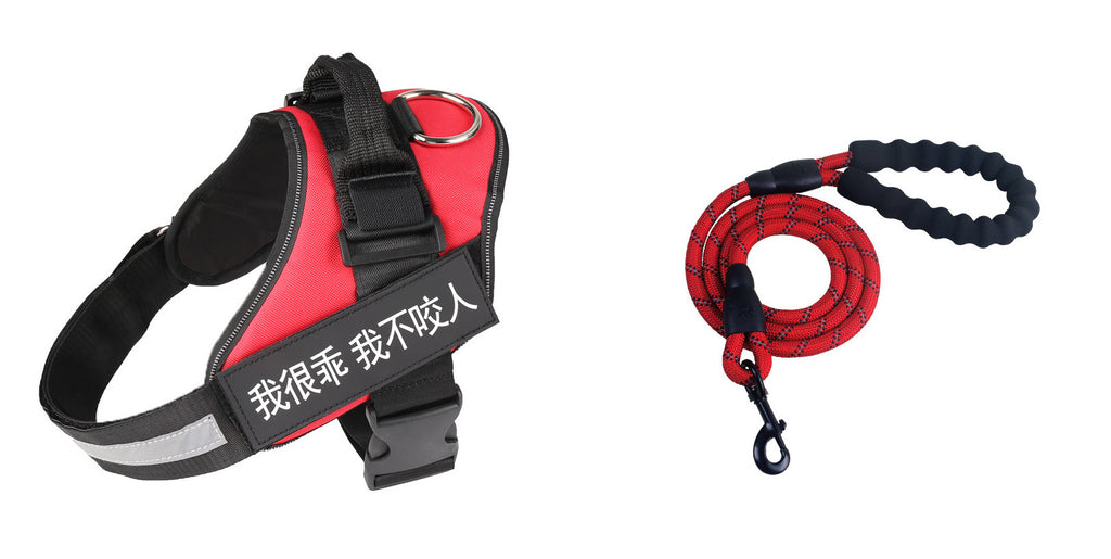 Set de ceinture de poitrine en laisse d'animal de mode simple