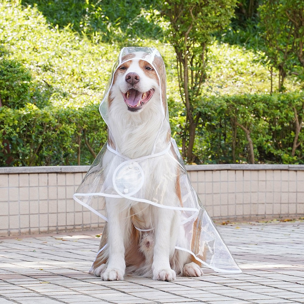 Transparent imperméable pour petits chiens moyens Vêtements imperméables pour animaux de compagnie avec veste de pluie à capuchon