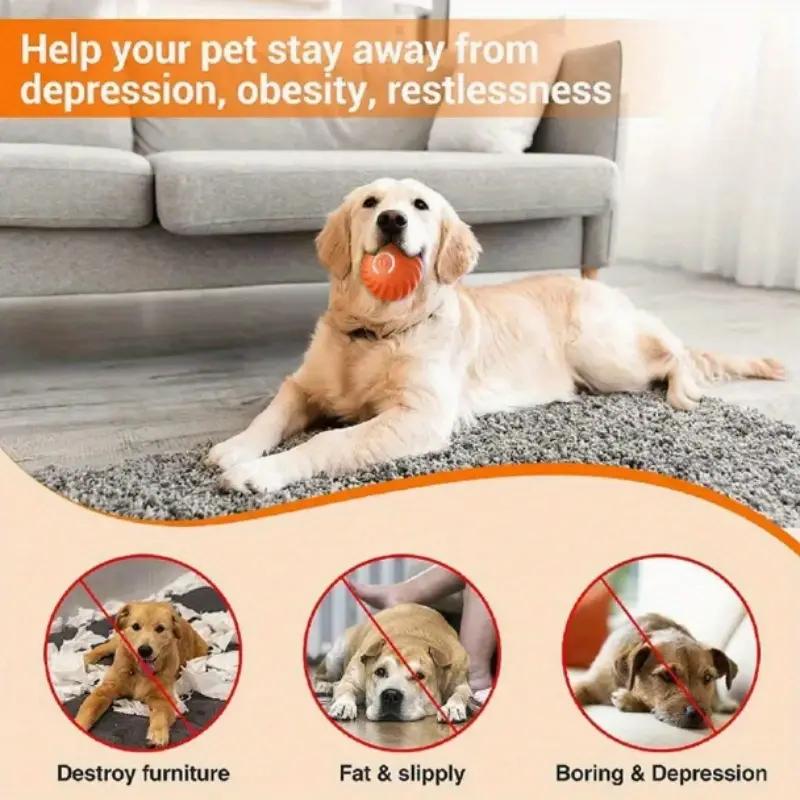 Blue and Orange Pet Buncing Ball Buncing Pet Ball pour chats et chiens