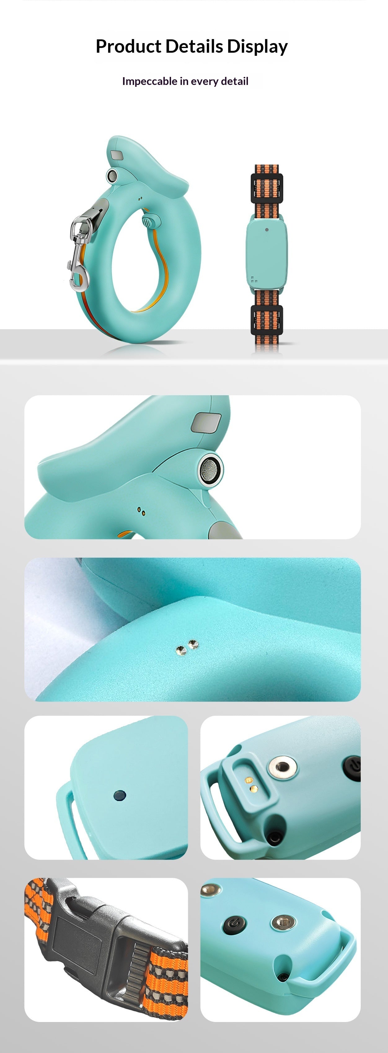 Laisse pour chien confortable pour les balades du quotidien