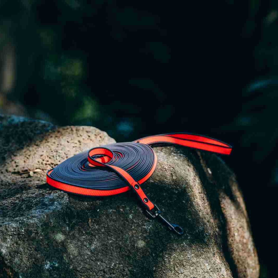 Meilleures ventes de produits pour animaux de compagnie en PVC