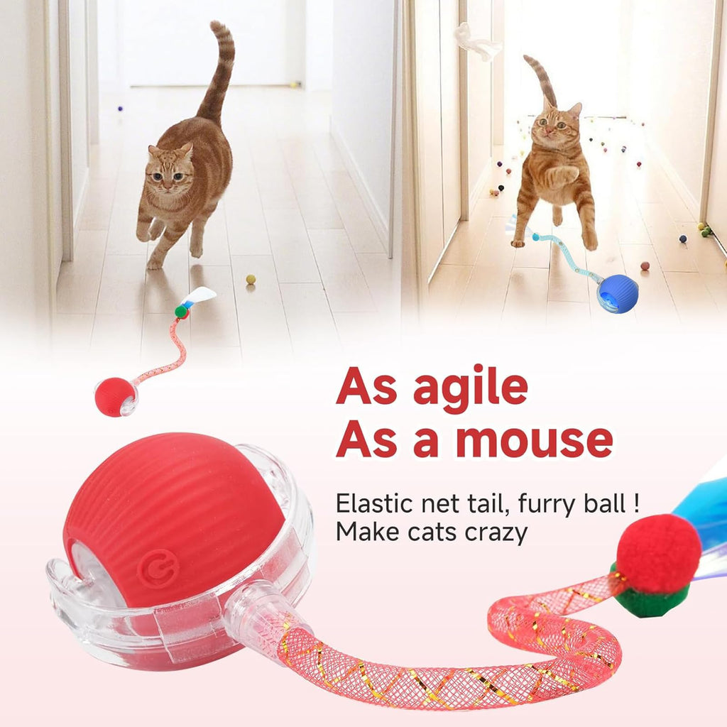 Jouets interactifs pour chats de queue pour chats d'intérieur