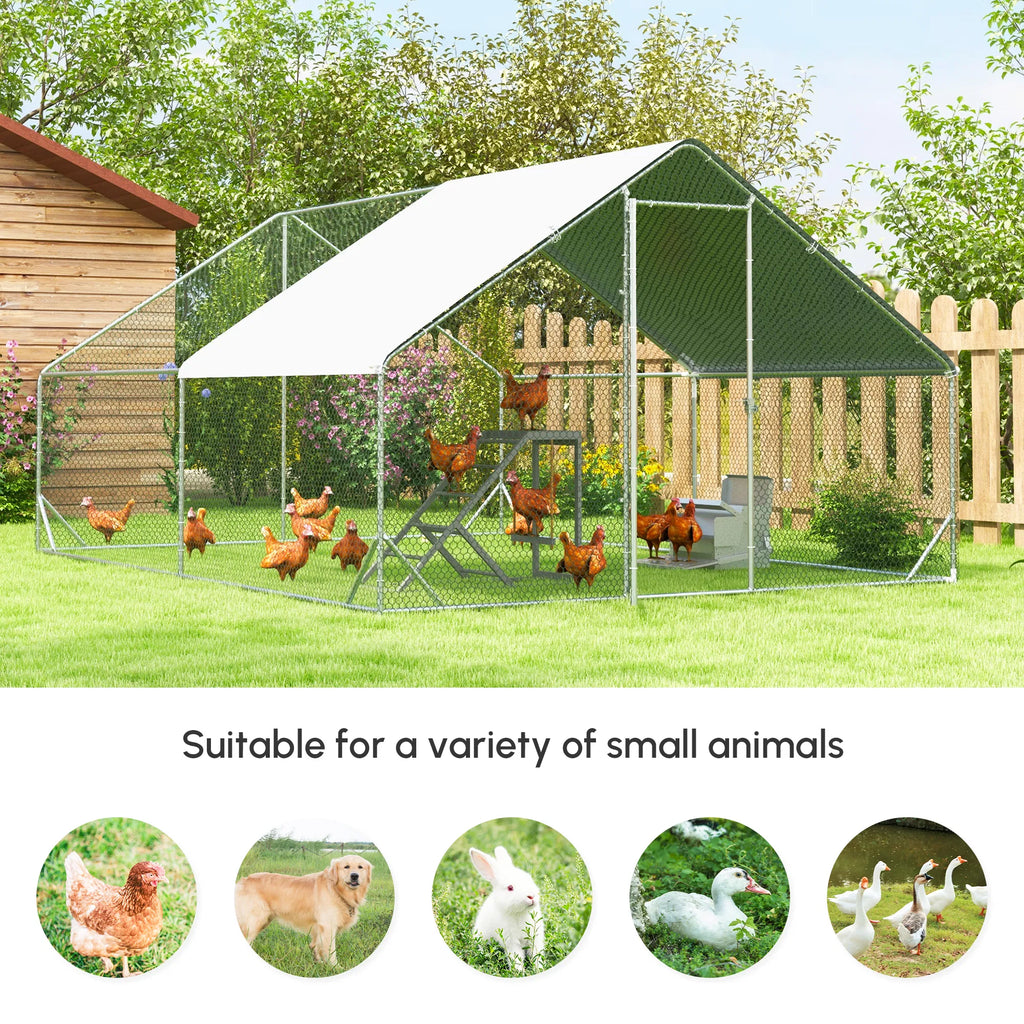 Poulet Coop (Amazon Shipping)(Interdit par WalMart)