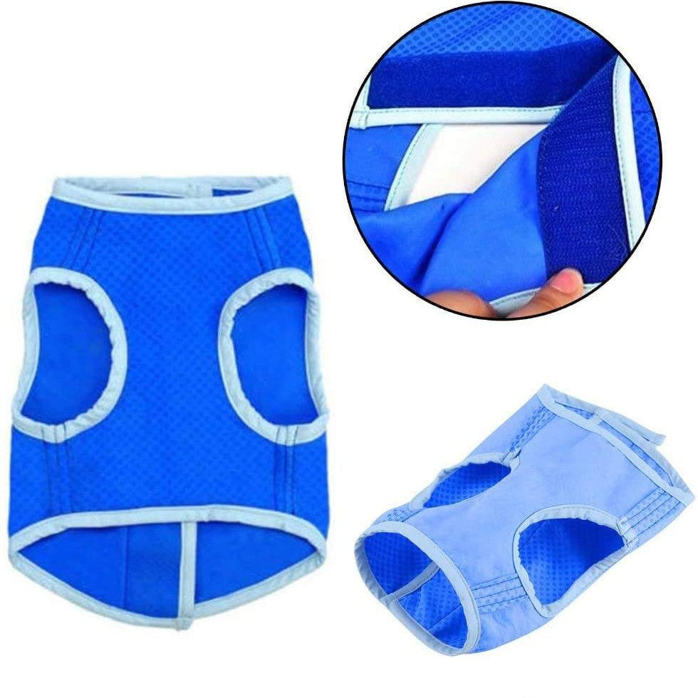 Veste de refroidissement d'été pour chien absorbant la sueur