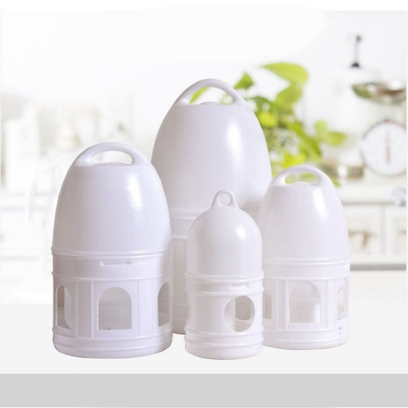 Bouteille à boire de pigeon