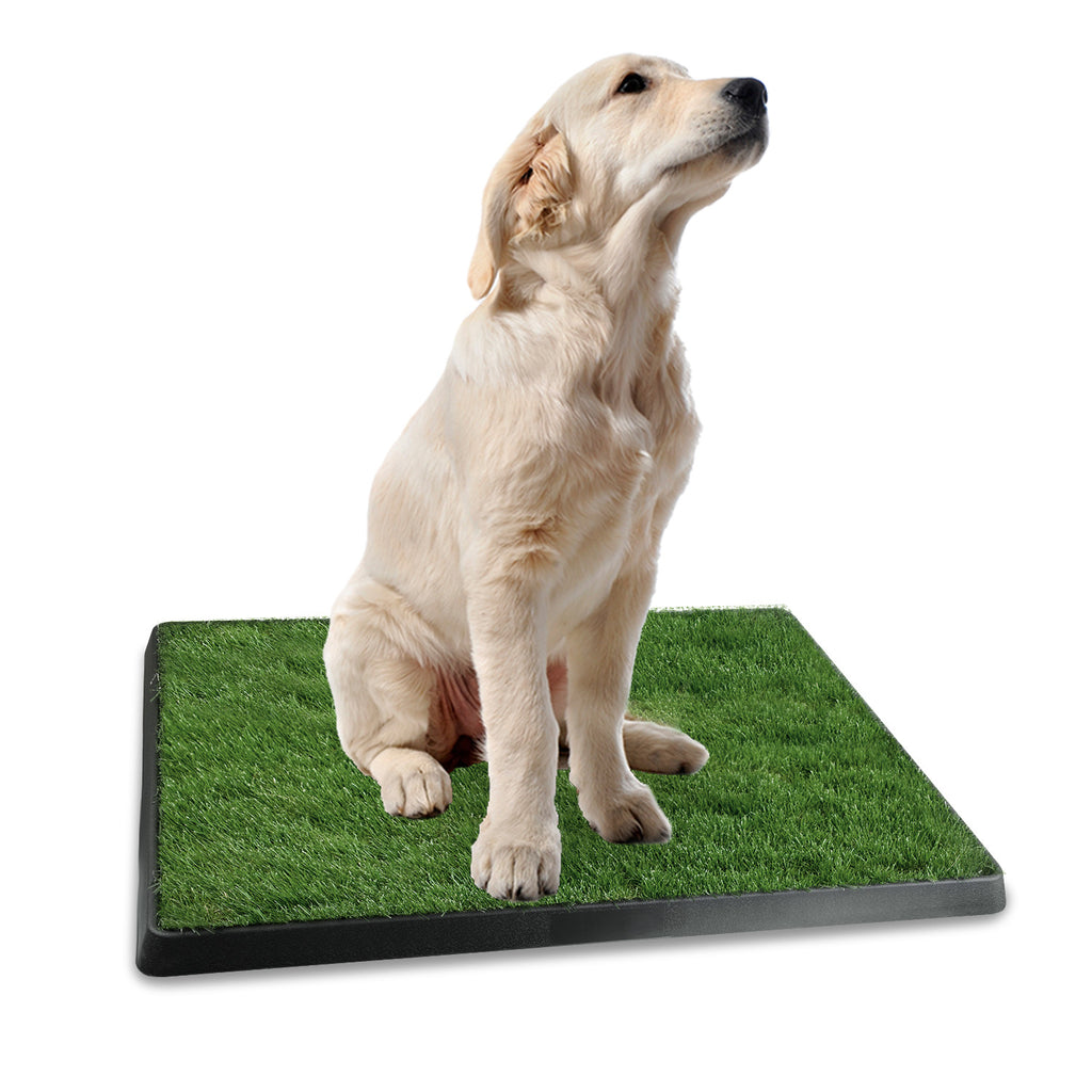 1Pc Dog Potty Training Artificial Grass Pad Pet Cat Toilette Trainer Mat Puppy Loo Tray Turf