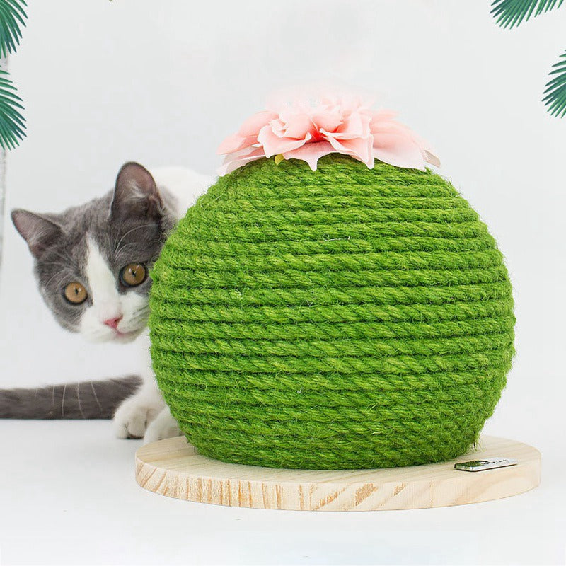 Cadre d'escalade Cactus Cat