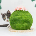 Cadre d'escalade Cactus Cat