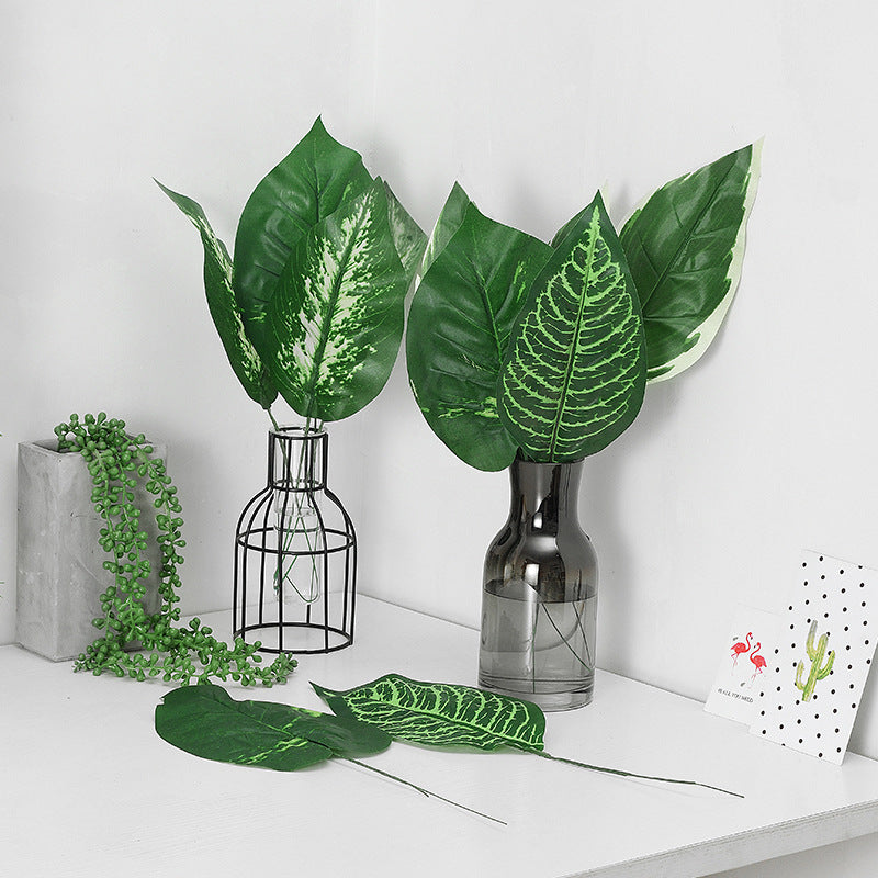 Plante de simulation des feuilles de tortue