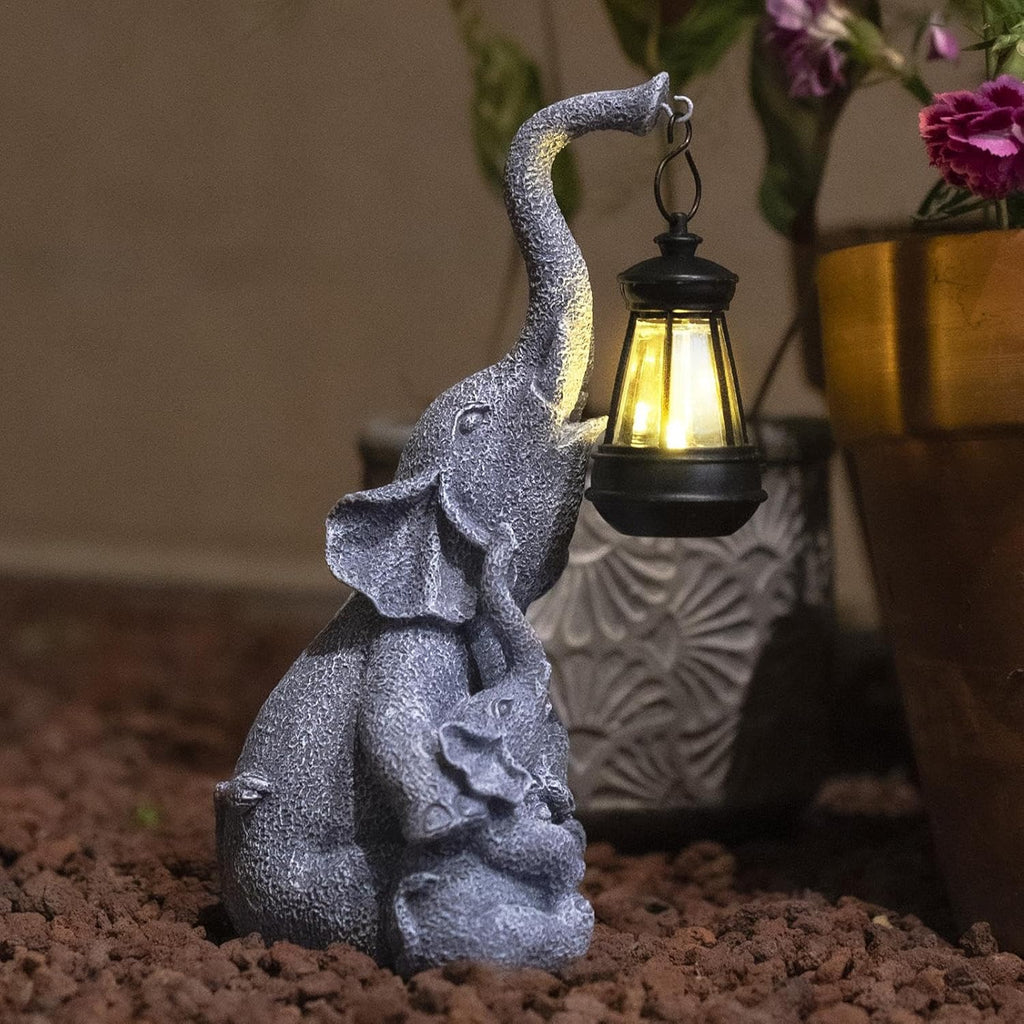 Lumière solaire éléphant