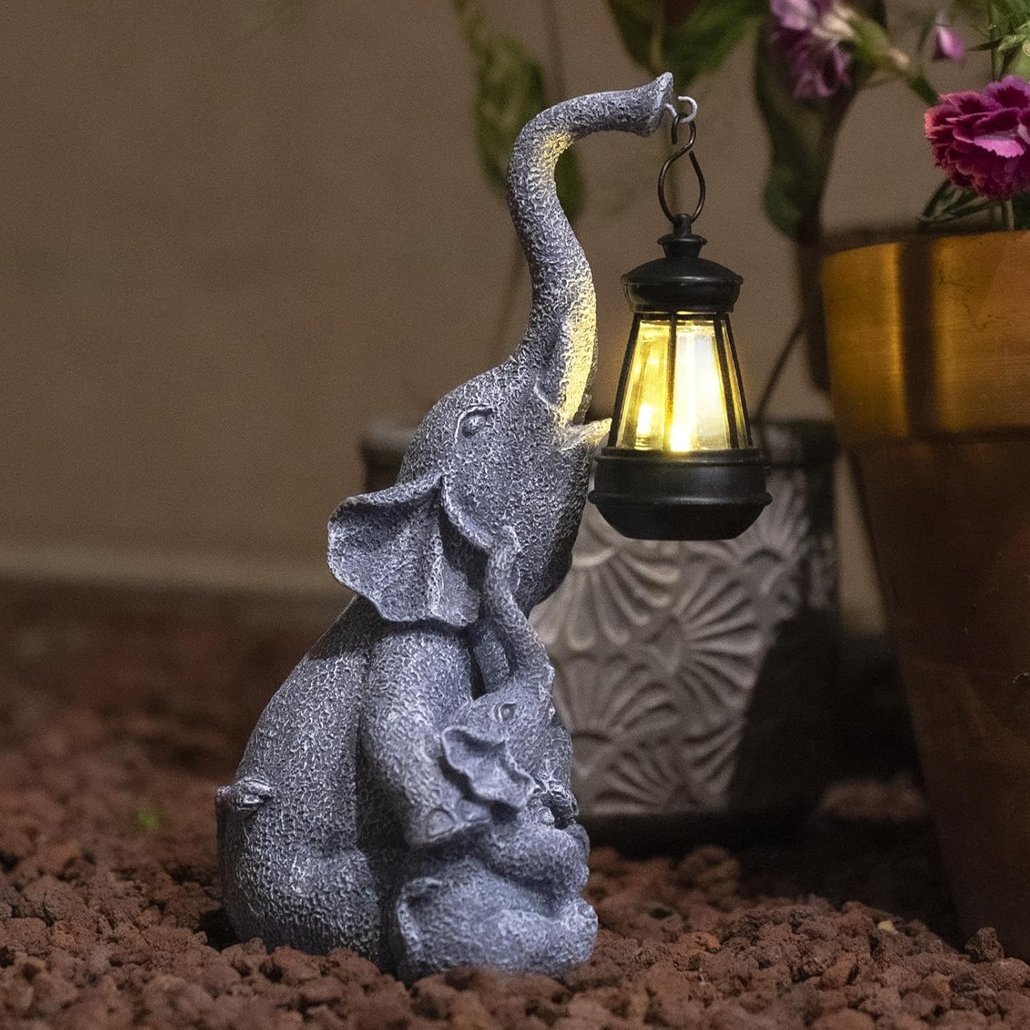 Lumière solaire éléphant