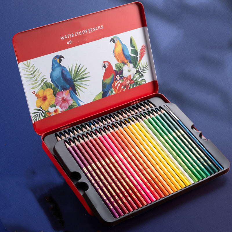 Ensemble de dessin de crayon couleur à base d'huile soluble dans l'eau