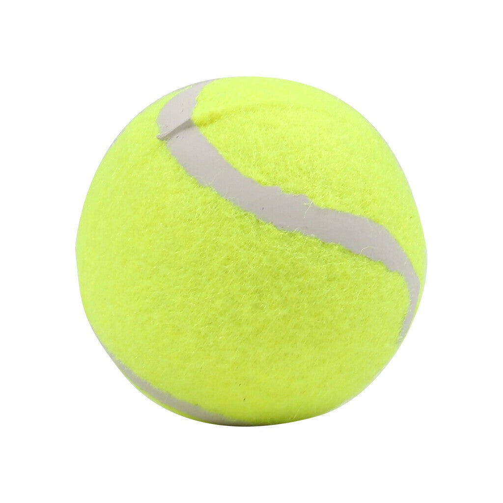Jouet de lanceur automatique de boules pour chien Jouet Interactif pour chat de chien