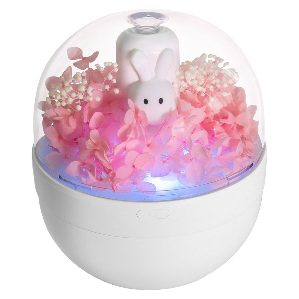 Lapin Créatif Préservé Fleur Aromathérapie Humidificateur - Décoration Maison Chambre à coucher