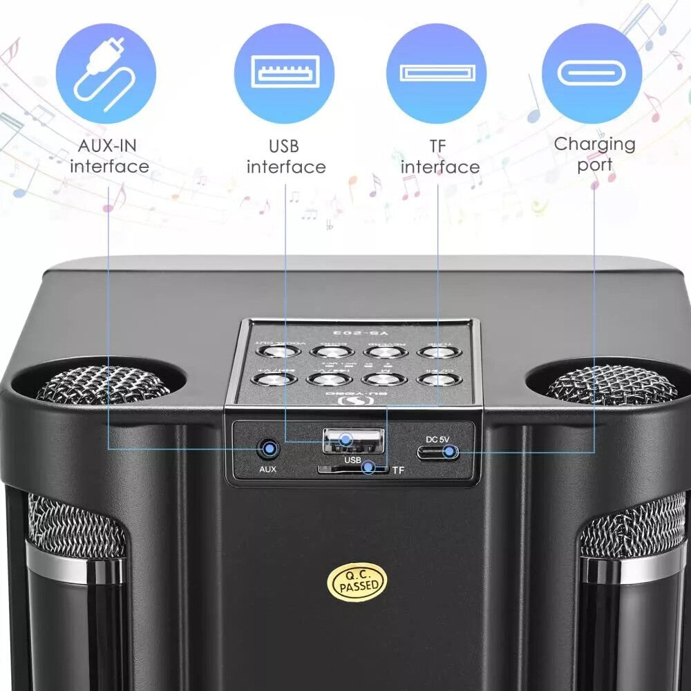 Haut-parleur de karaoké Bluetooth portable avec 2 microphones sans fil