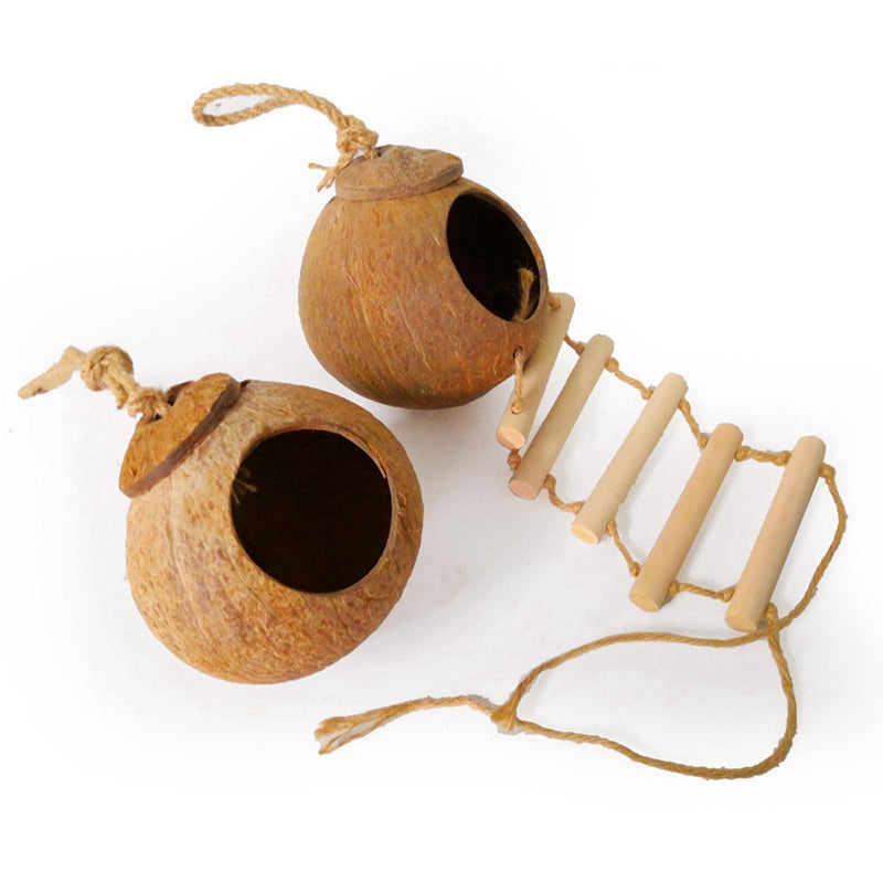 Oiseaux de noix de coco