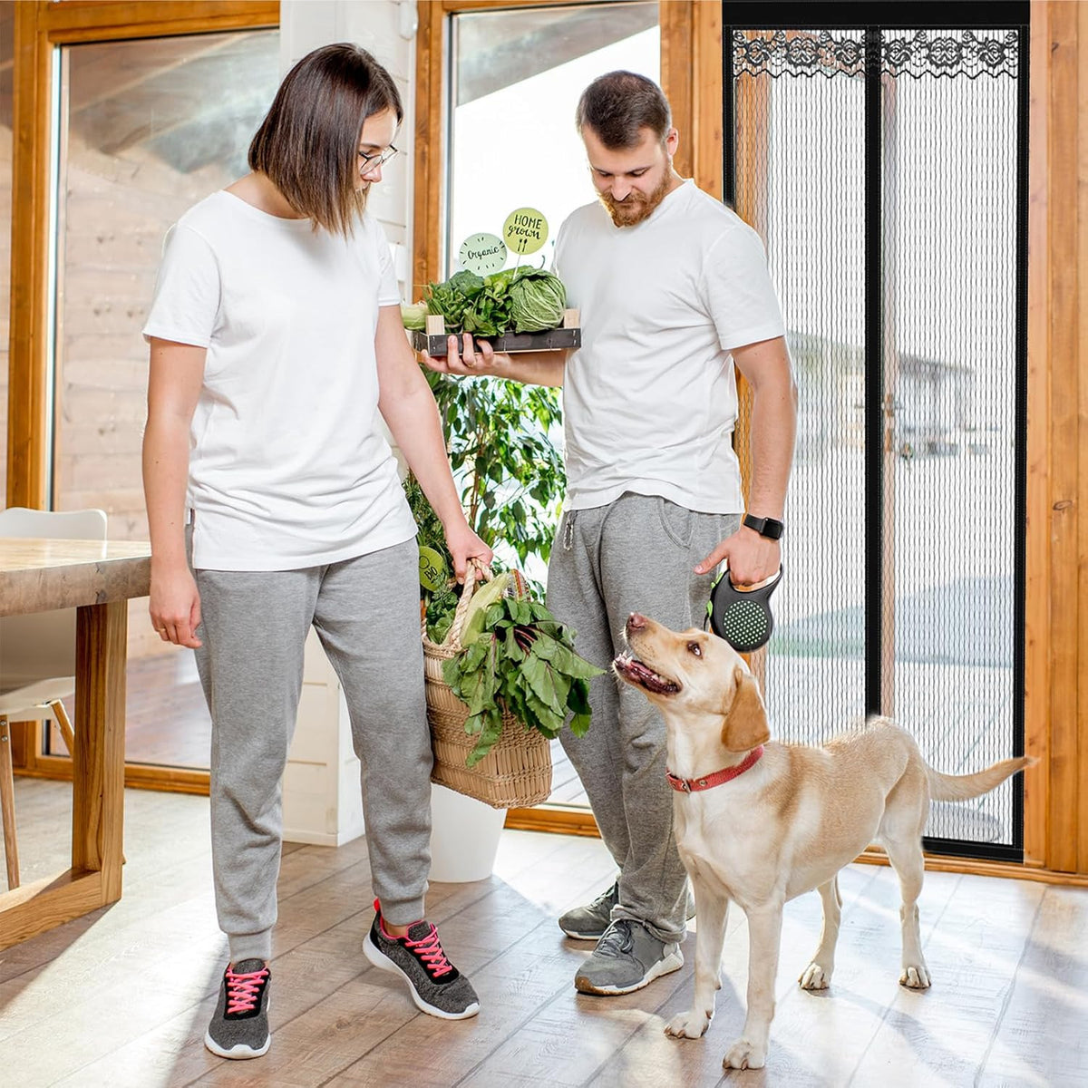 Fly screen door