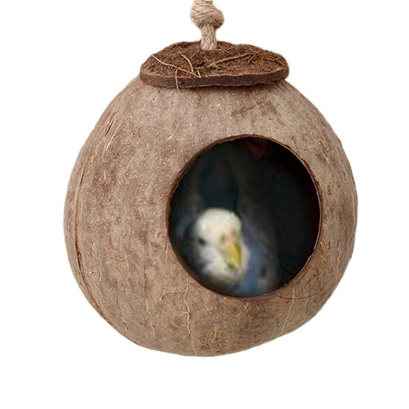 Oiseaux de noix de coco