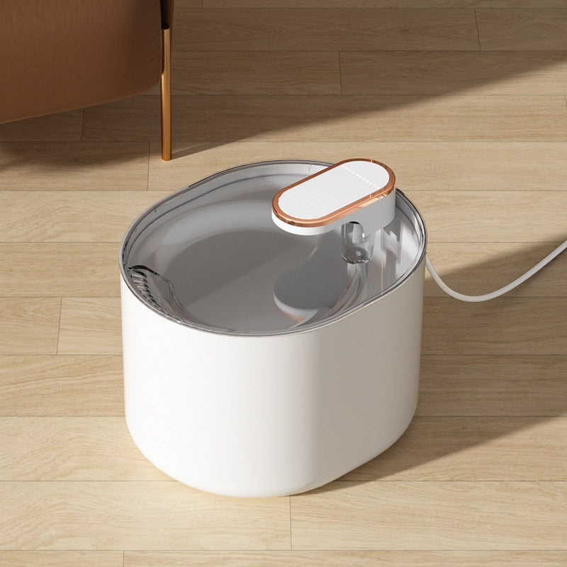 Fontaine d'eau intelligente à température constante pour animaux de compagnie