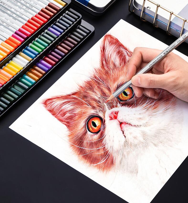 Ensemble de dessin de crayon couleur à base d'huile soluble dans l'eau