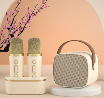 Ensemble Microphone de chant familial