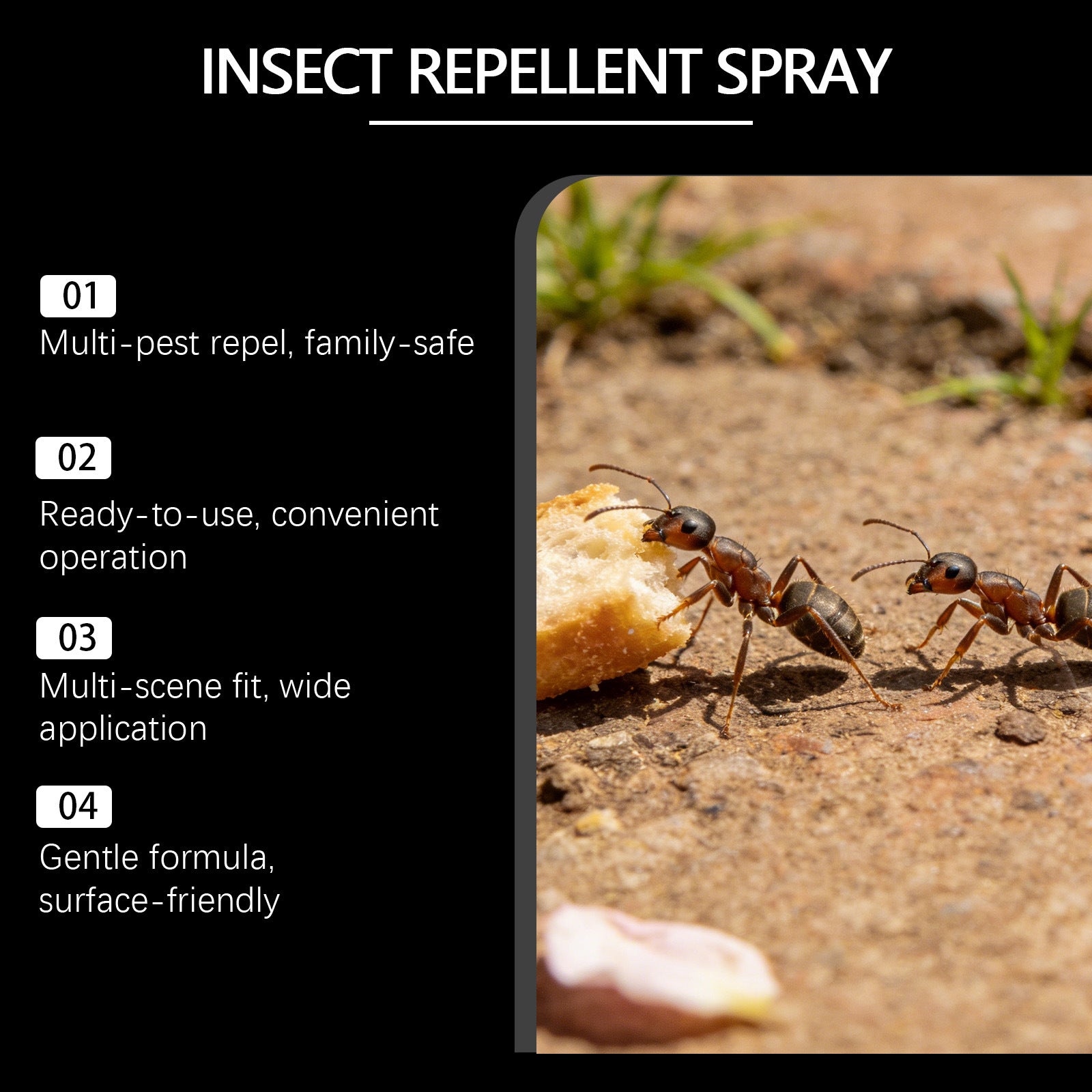 Spray anti-insectes