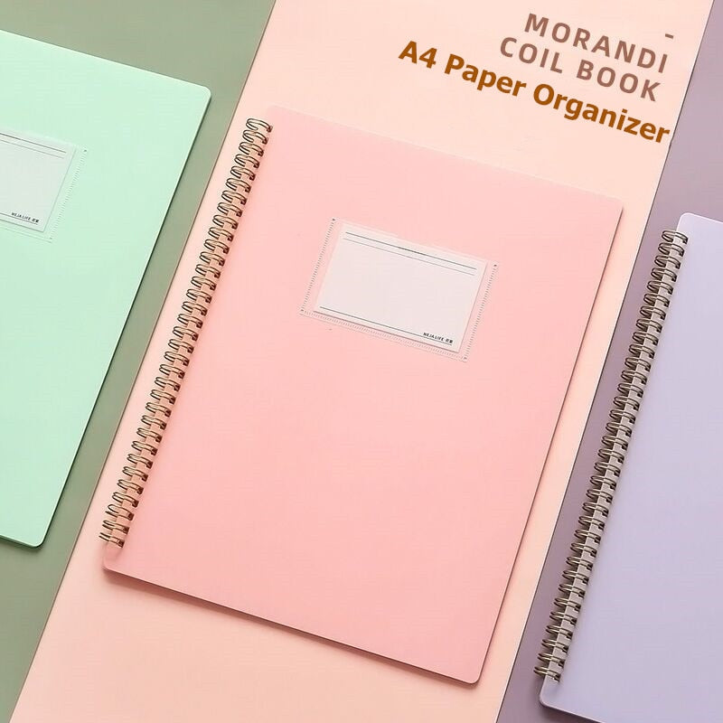 Morandi Couleur A4 Dossier d'information interstitielle Coil